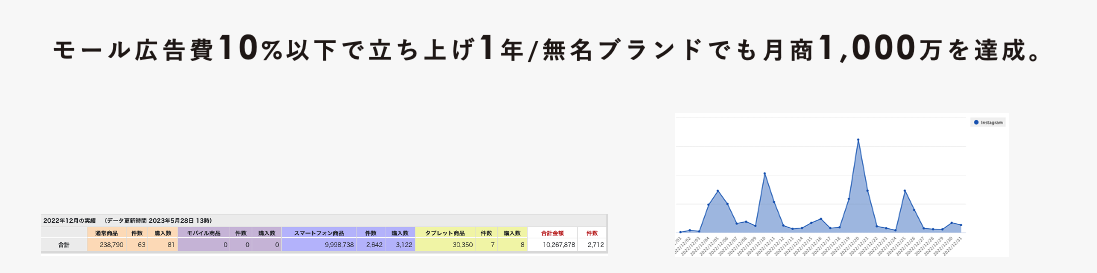 モール広告費10%以下で立ち上げ1年間で売上1,000万円をあげた成功事例