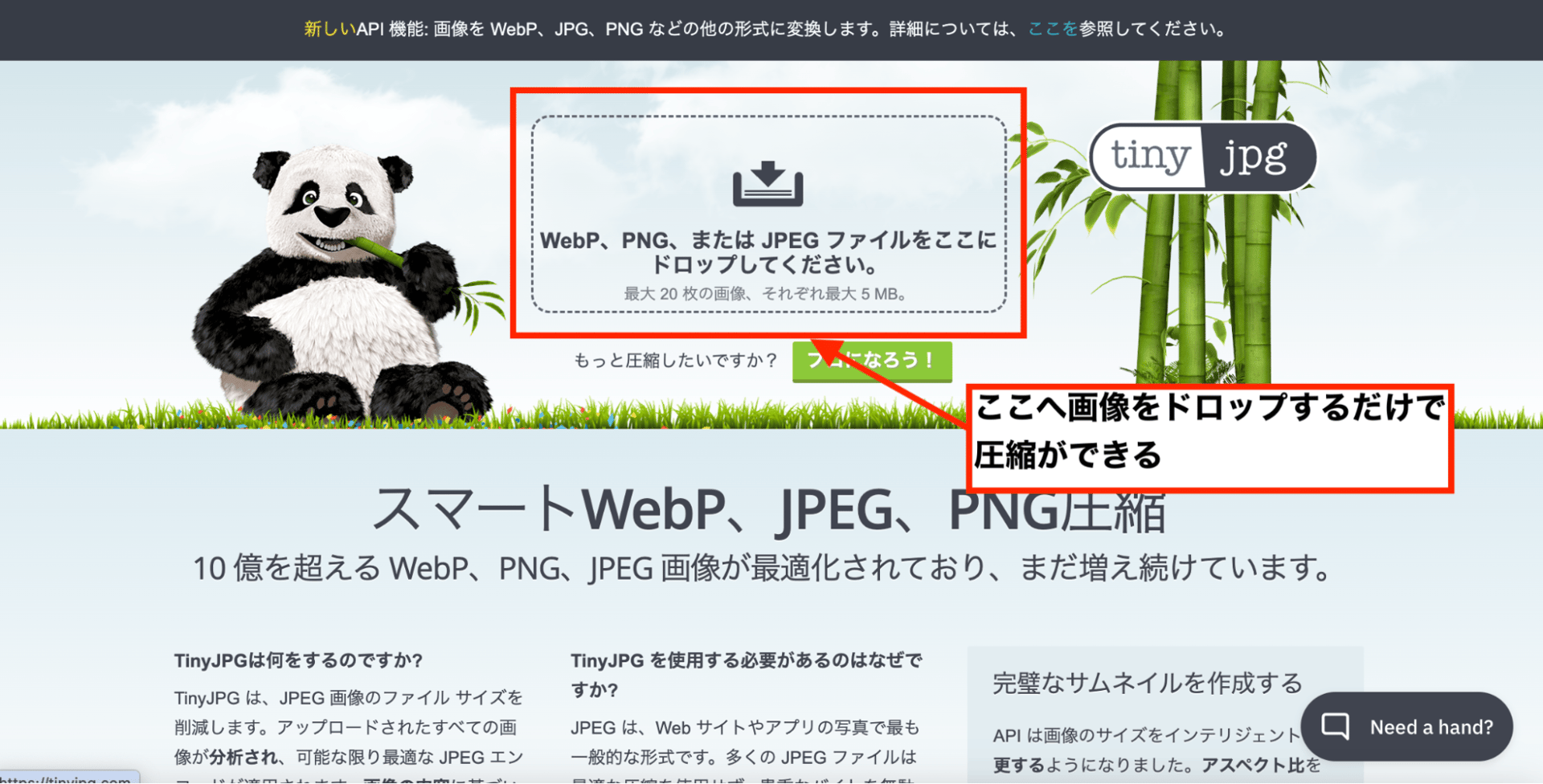 SEO内部対策の施策に使えるtinyjpgの画像