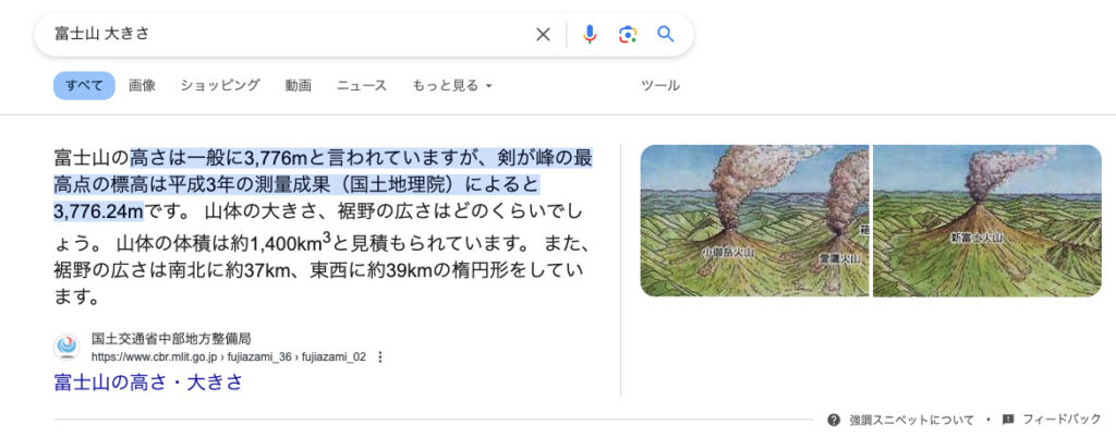 強調スニペット テキスト+画像