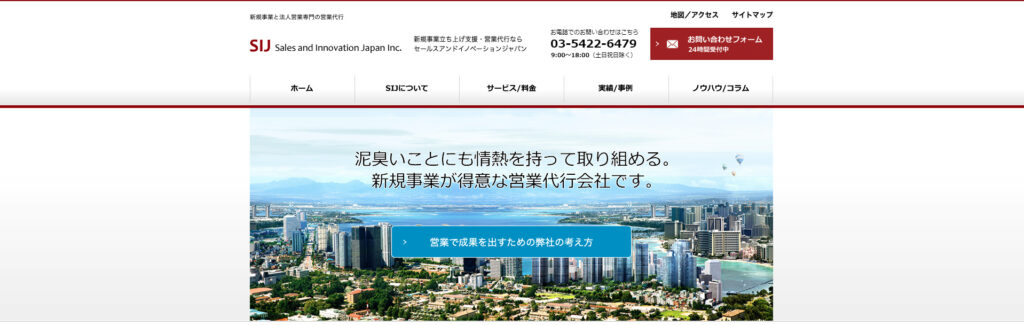 株式会社Sales and Innovation Japan