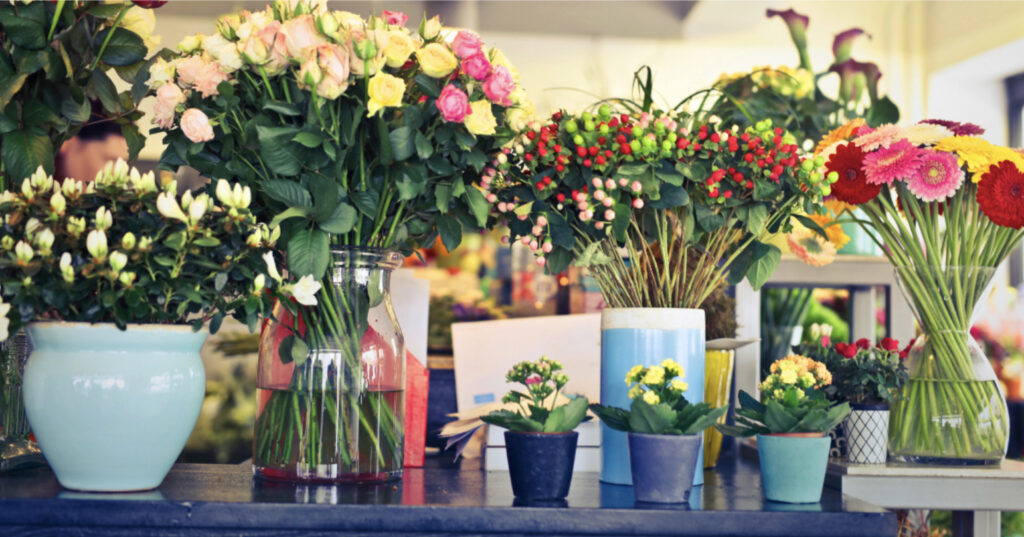 Instagramアカウントを活用した店舗/オンラインの売上最大化｜支援半年で売上2倍