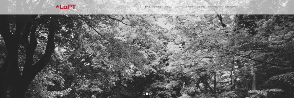 株式会社ラプト|Webアクセシビリティ向上支援が得意