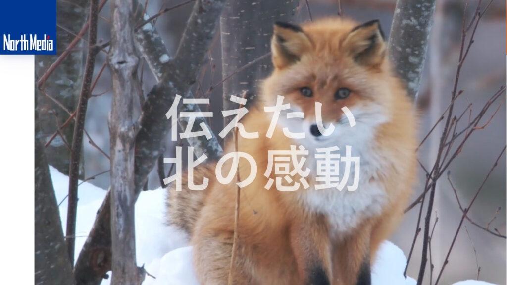 有限会社ノースメディア|時代に合わせた映像技術を活用