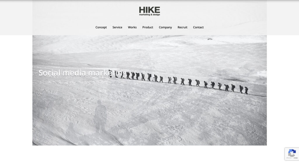 ハイクコンサルティング株式会社