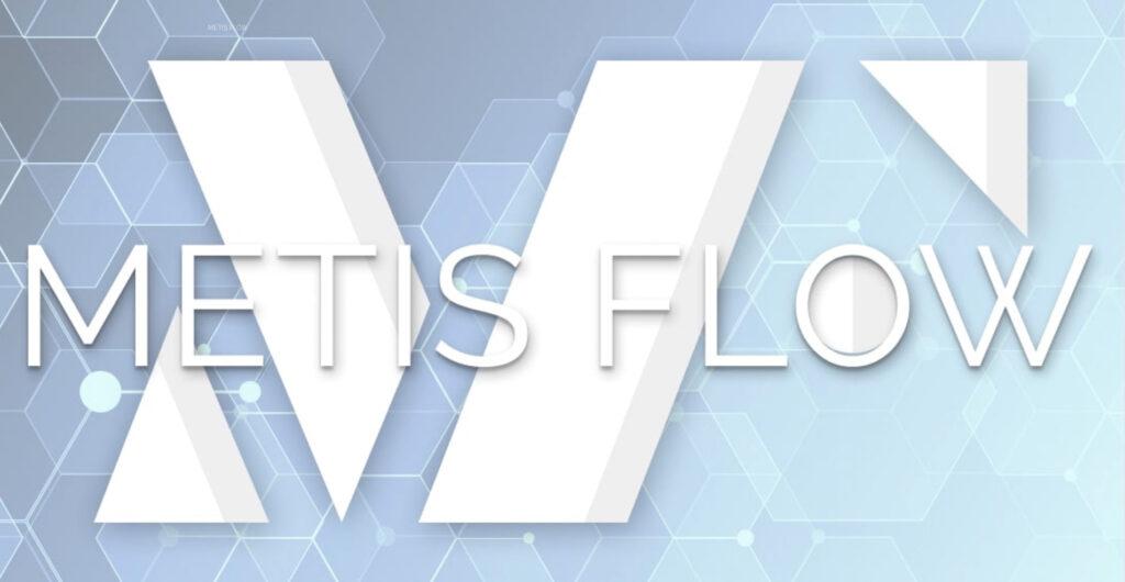 合同会社MetisFlow