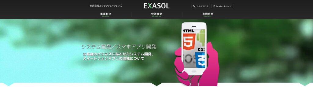 株式会社エクサソリューションズ|9万8,000円から制作可能