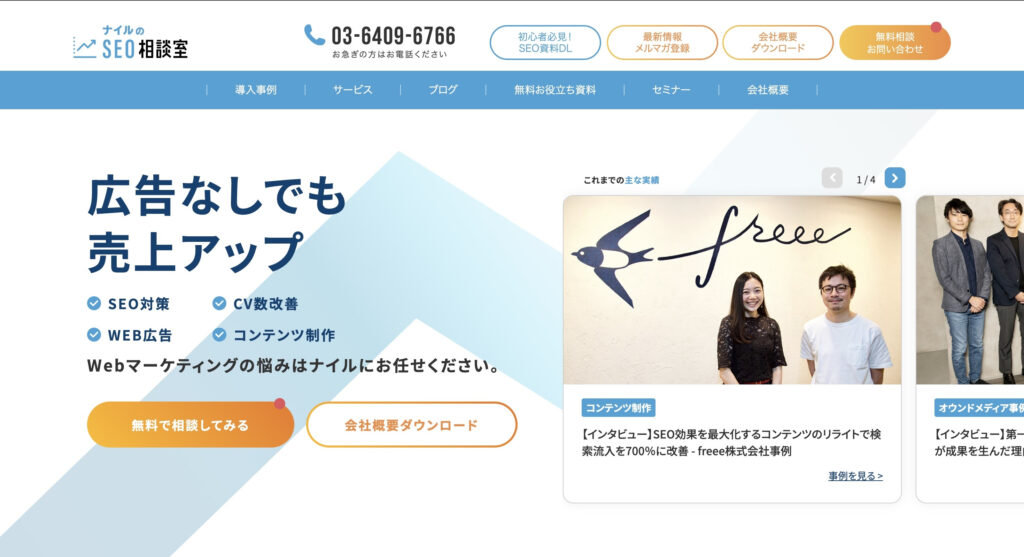 ナイル株式会社|あらゆるサイトのコンサルタント実績