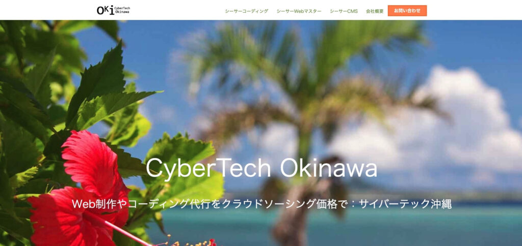 合同会社サイバーテック沖縄|サイト運営を幅広くサポート