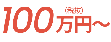 100万円（税抜）
