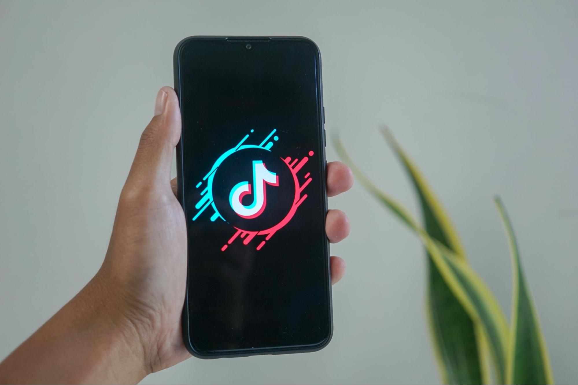 TikTok代行会社を利用するメリット